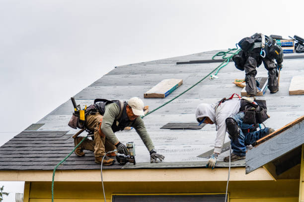 Professional Flat Roof Repair technician working in Holyoke, MA